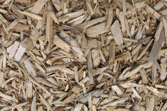 biomass boilers Llanddeiniolen